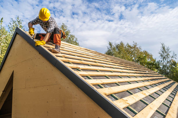Best Roof Gutter Cleaning  in Mount Pulaski, IL