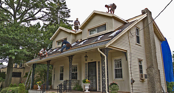 Best Roofing Contractor Near Me  in Mount Pulaski, IL