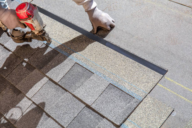 Best Roof Repair Services  in Mount Pulaski, IL